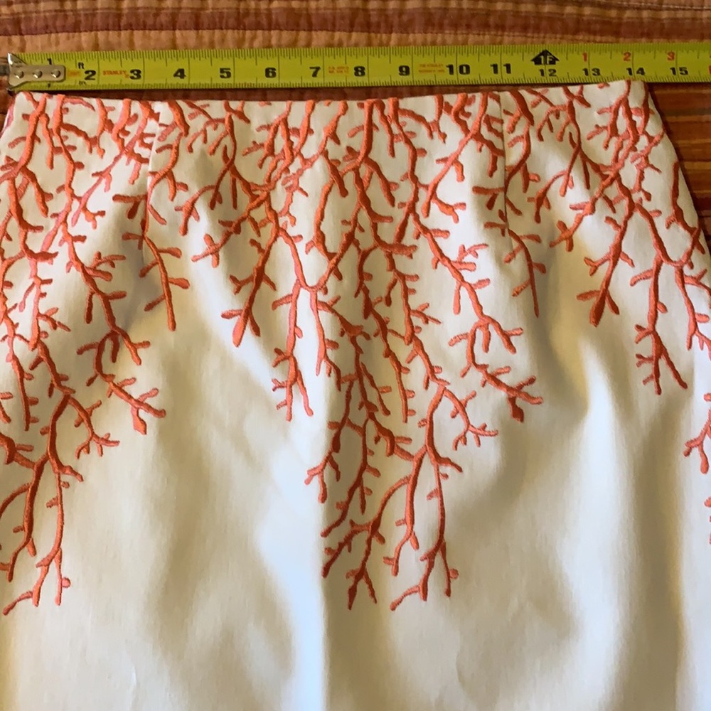 Beautiful Embroidered Lined Skirt Sz 2 - Picture 7 of 12